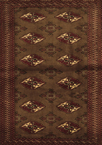 Persian Brown Traditional Rug, tr3078brn