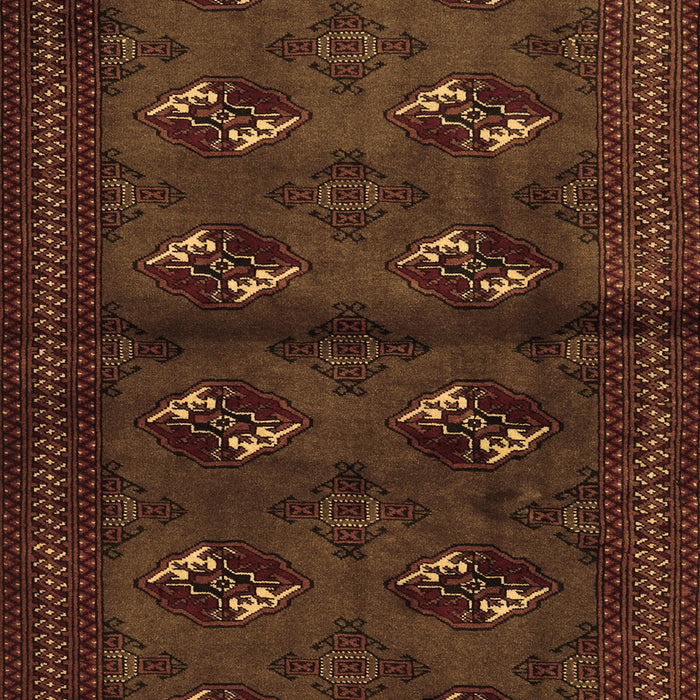 Persian Brown Traditional Rug, tr3078brn
