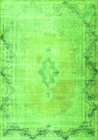 Persian Green Traditional Rug, tr3079grn