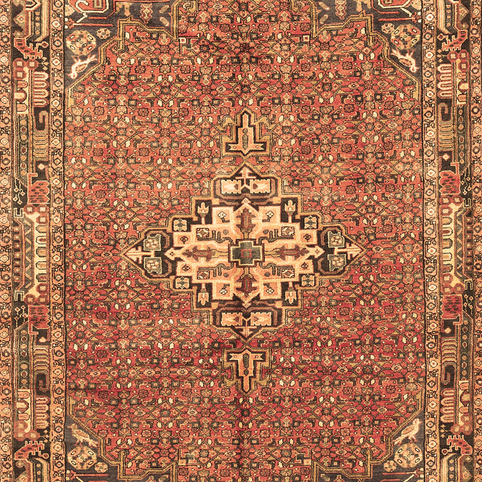 Persian Brown Traditional Rug, tr307brn