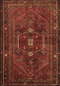 Persian Brown Traditional Rug, tr3083brn