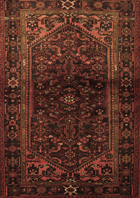 Persian Brown Traditional Rug, tr3085brn