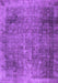 Persian Purple Traditional Rug, tr3088pur