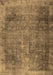 Persian Brown Traditional Rug, tr3088brn