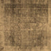 Square Persian Brown Traditional Rug, tr3088brn
