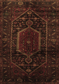 Persian Brown Traditional Rug, tr3092brn