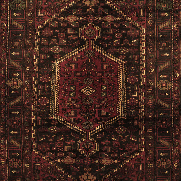 Persian Brown Traditional Rug, tr3092brn