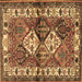 Square Persian Brown Traditional Rug, tr3095brn