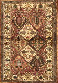 Persian Brown Traditional Rug, tr3095brn