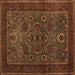 Square Persian Brown Traditional Rug, tr30brn