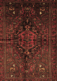 Persian Brown Traditional Rug, tr3103brn
