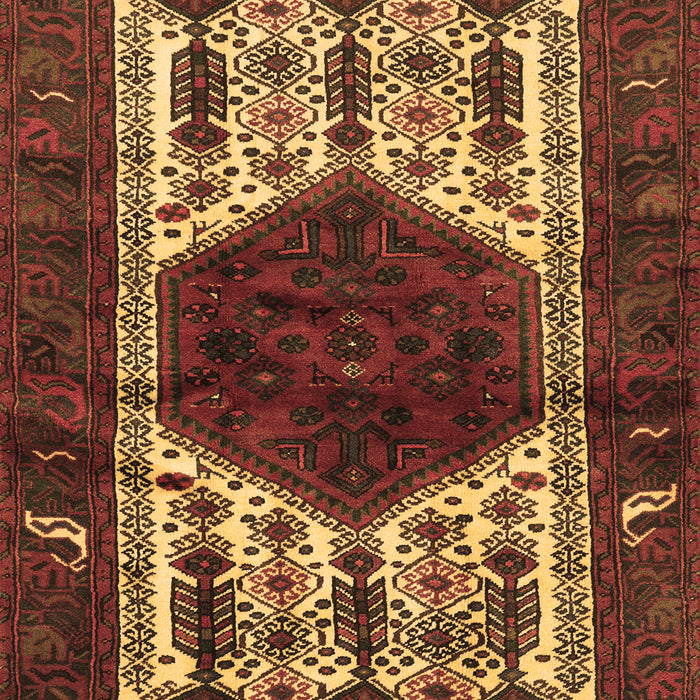 Machine Washable Persian Brown Traditional Rug, wshtr3109brn