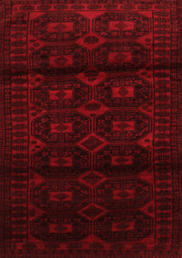 Persian Red Traditional Rug, tr3112red