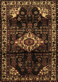 Persian Brown Traditional Rug, tr3114brn