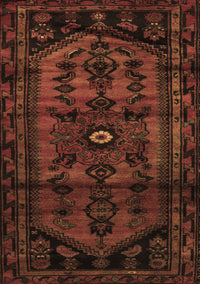 Persian Brown Traditional Rug, tr3117brn