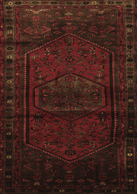 Persian Brown Traditional Rug, tr3121brn