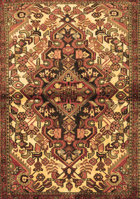 Persian Brown Traditional Rug, tr3122brn