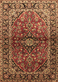 Medallion Brown Traditional Rug, tr3124brn