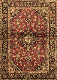 Medallion Brown Traditional Rug, tr3125brn