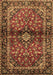 Medallion Brown Traditional Rug, tr3125brn