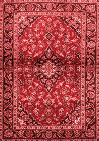 Medallion Red Traditional Rug, tr3125red