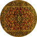 Round Persian Yellow Traditional Rug, tr3129yw