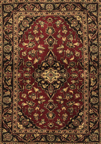 Persian Brown Traditional Rug, tr3130brn