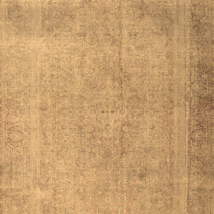 Persian Brown Traditional Rug, tr3141brn