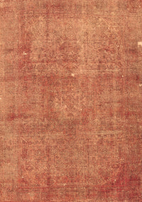 Persian Brown Traditional Rug, tr3142brn