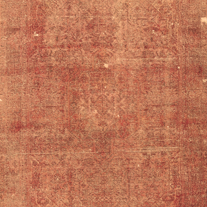 Persian Brown Traditional Rug, tr3142brn