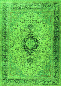 Persian Green Traditional Rug, tr3143grn