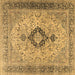 Square Persian Brown Traditional Rug, tr3143brn