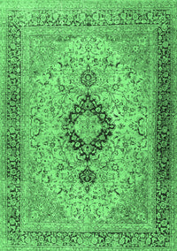 Persian Emerald Green Traditional Rug, tr3143emgrn