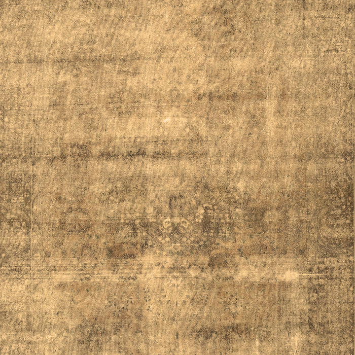 Machine Washable Persian Brown Traditional Rug, wshtr3147brn