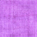 Square Persian Purple Traditional Rug, tr3149pur