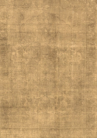 Persian Brown Traditional Rug, tr3149brn