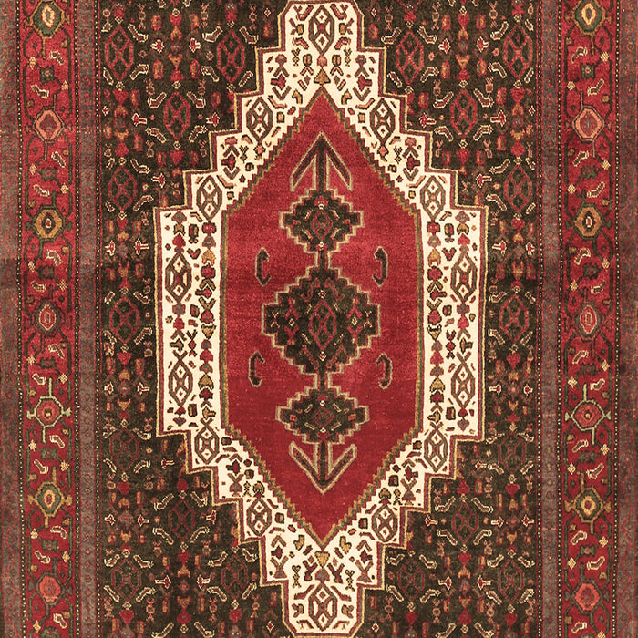 Machine Washable Persian Brown Traditional Rug, wshtr314brn