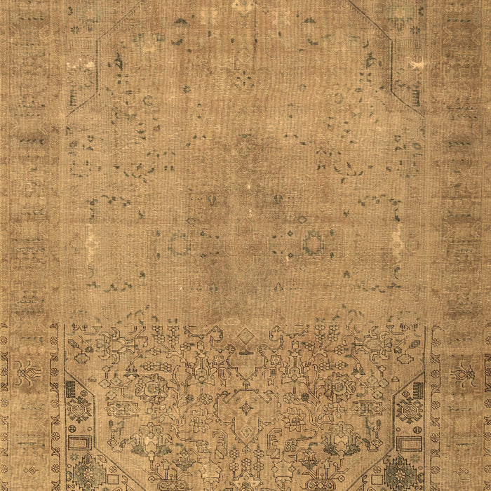 Persian Brown Traditional Rug, tr3152brn