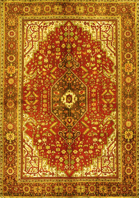 Medallion Yellow Traditional Rug, tr3154yw