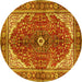 Round Medallion Yellow Traditional Rug, tr3154yw