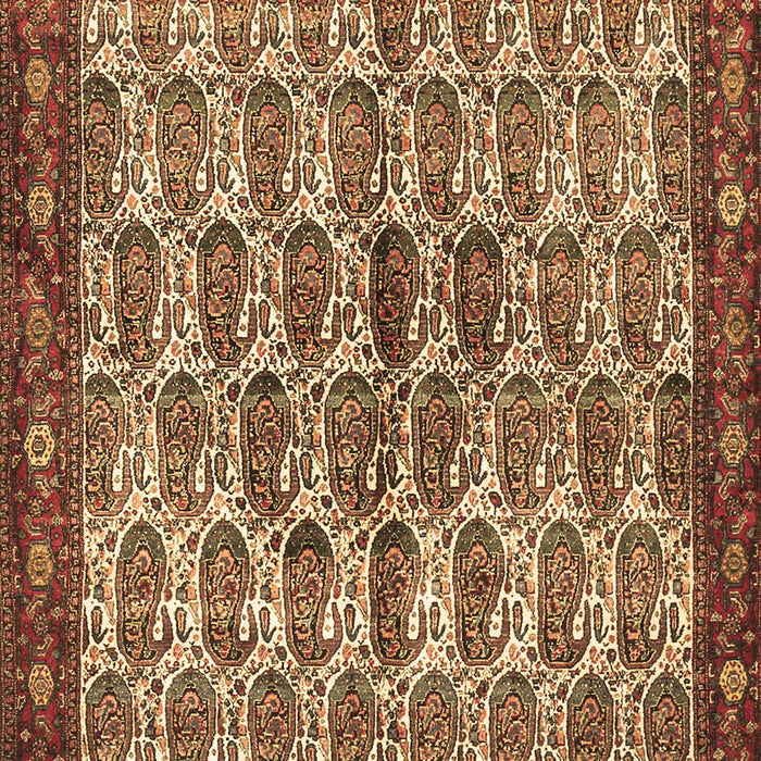 Persian Brown Traditional Rug, tr3155brn