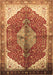 Medallion Brown Traditional Rug, tr3156brn