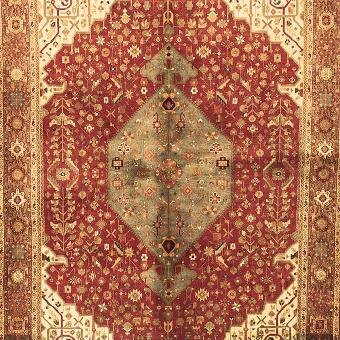 Medallion Brown Traditional Rug, tr3156brn