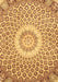 Machine Washable Medallion Brown Traditional Rug, wshtr3157brn