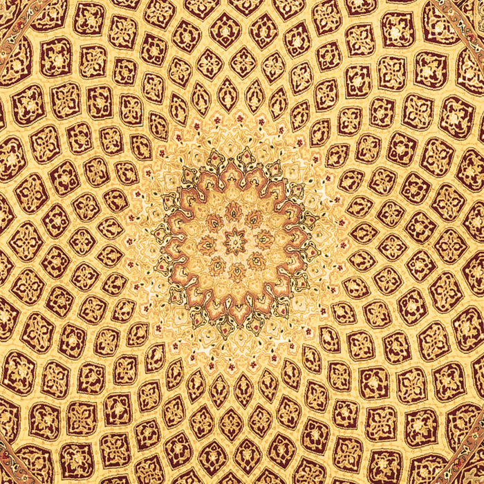 Machine Washable Medallion Brown Traditional Rug, wshtr3157brn