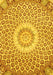 Medallion Yellow Traditional Rug, tr3157yw