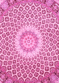 Medallion Pink Traditional Rug, tr3157pnk