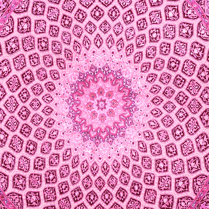 Medallion Pink Traditional Rug, tr3157pnk