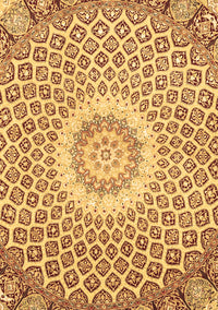 Medallion Brown Traditional Rug, tr3157brn