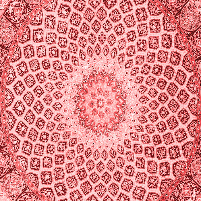 Medallion Red Traditional Rug, tr3157red